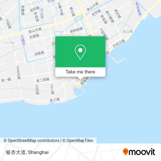 银杏大道 map