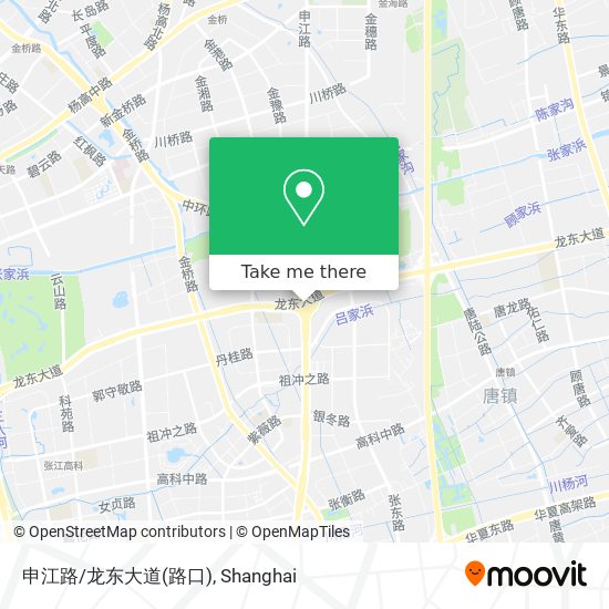 申江路/龙东大道(路口) map