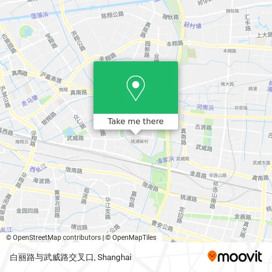 白丽路与武威路交叉口 map