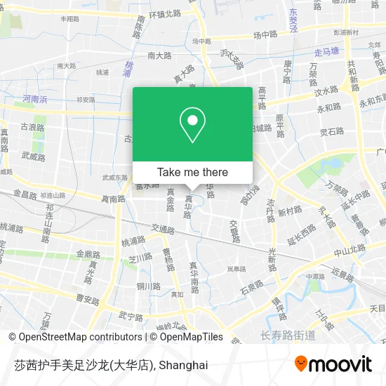 莎茜护手美足沙龙(大华店) map