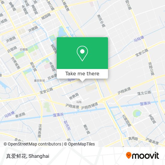真爱鲜花 map