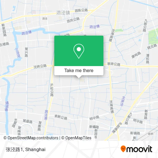 张泾路1 map