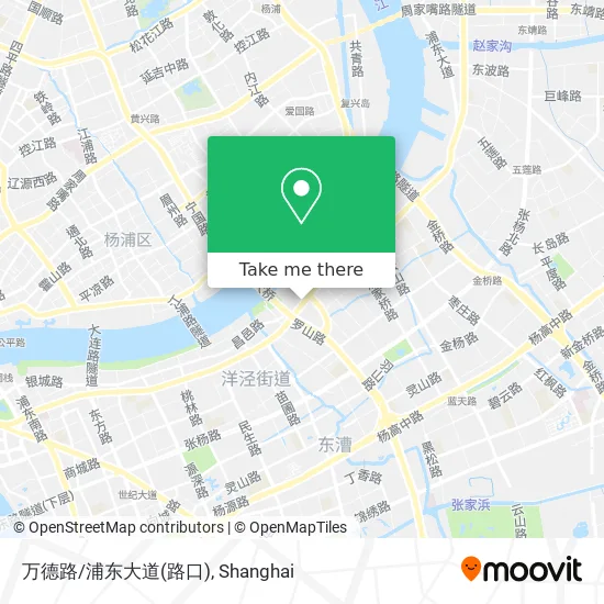 万德路/浦东大道(路口) map