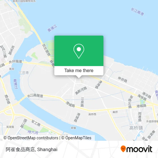 阿崔食品商店 map