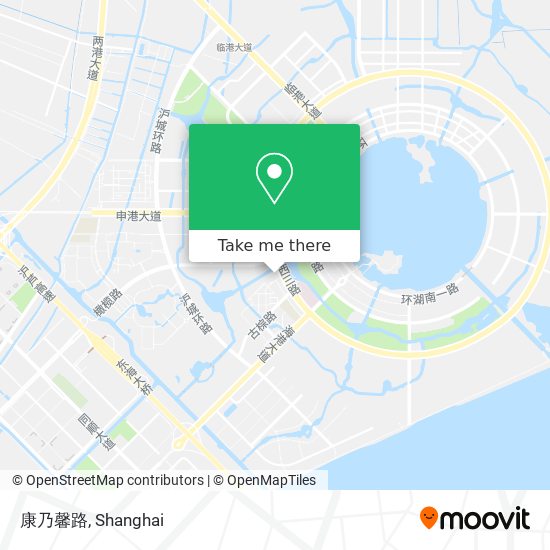 康乃馨路 map