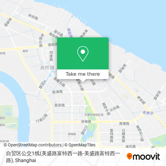 自贸区公交1线(美盛路富特西一路-美盛路富特西一路) map