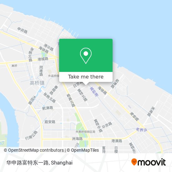 华申路富特东一路 map