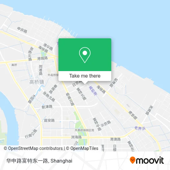 华申路富特东一路 map