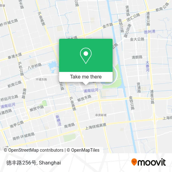 德丰路256号 map