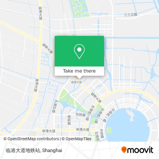 临港大道地铁站 map