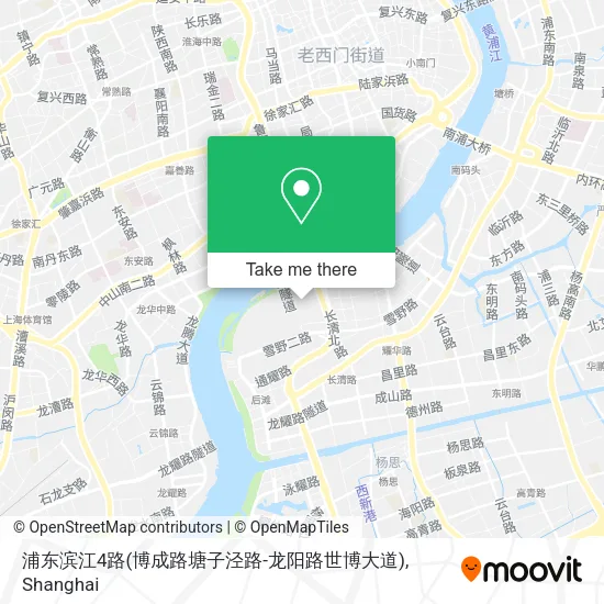 浦东滨江4路(博成路塘子泾路-龙阳路世博大道) map