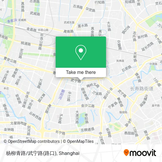 杨柳青路/武宁路(路口) map