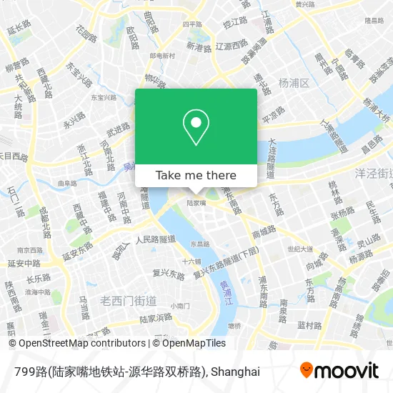 799路(陆家嘴地铁站-源华路双桥路) map