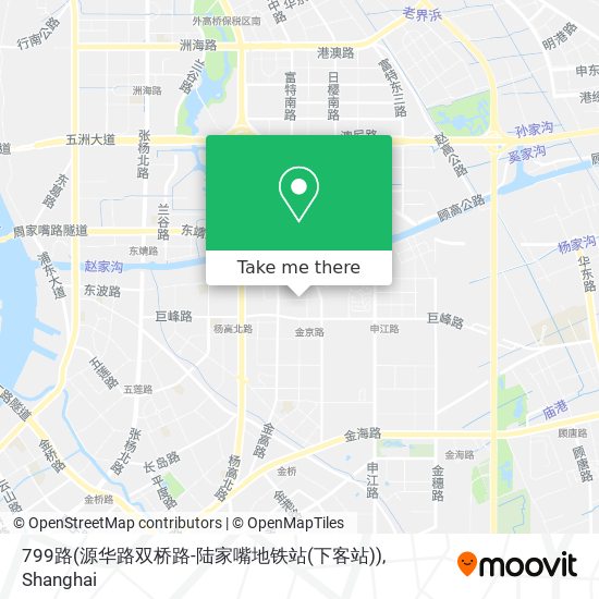 799路(源华路双桥路-陆家嘴地铁站(下客站)) map
