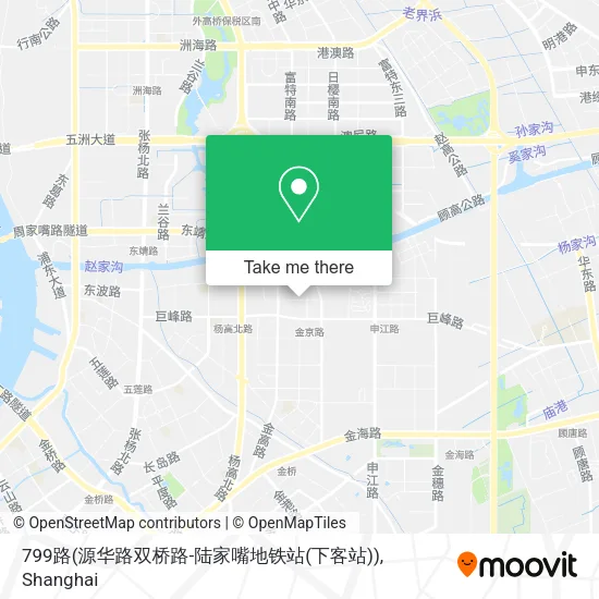 799路(源华路双桥路-陆家嘴地铁站(下客站)) map