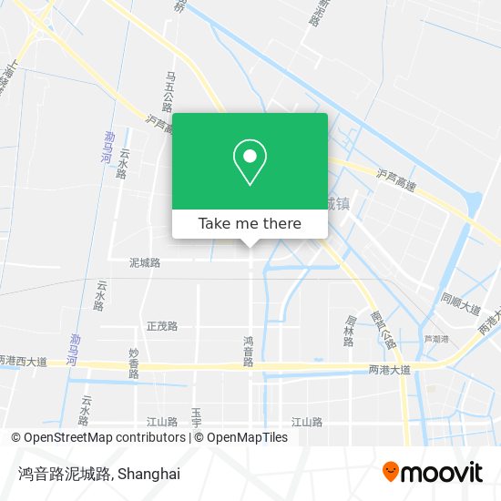 鸿音路泥城路 map