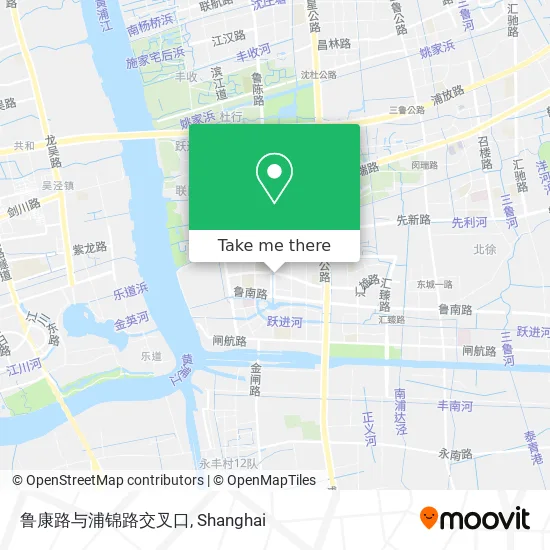 鲁康路与浦锦路交叉口 map