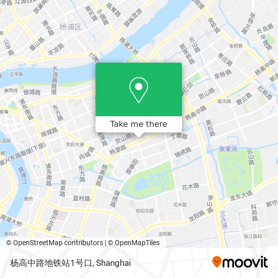 杨高中路地铁站1号口 map