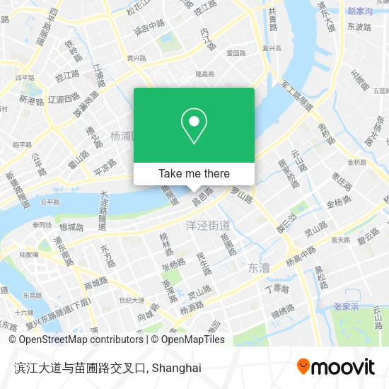 滨江大道与苗圃路交叉口 map