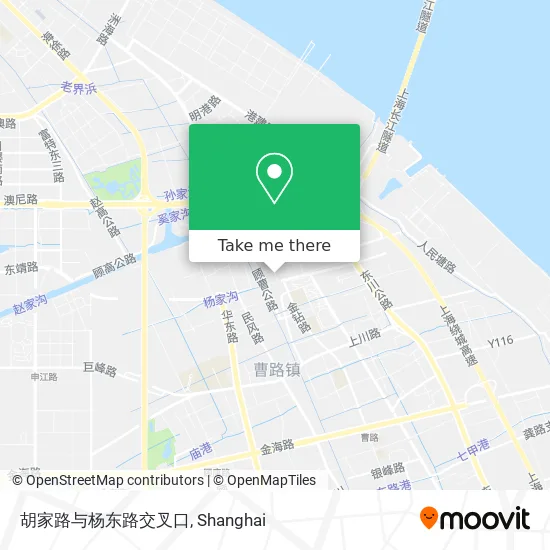 胡家路与杨东路交叉口 map