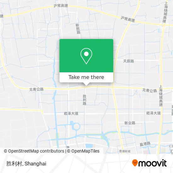胜利村 map