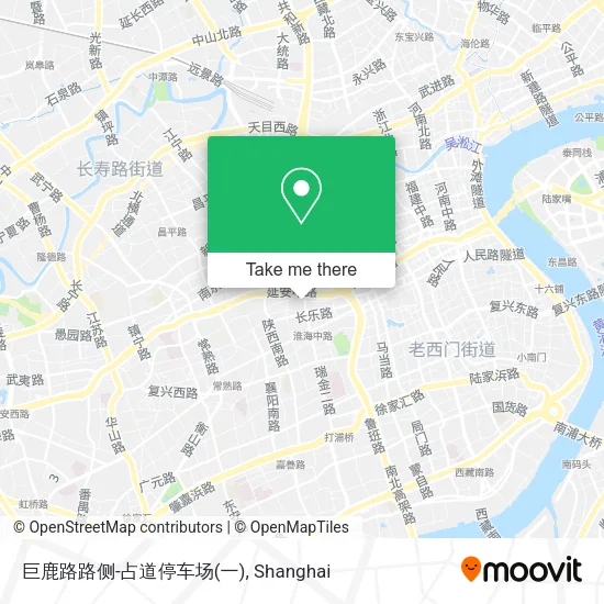 巨鹿路路侧-占道停车场(一) map