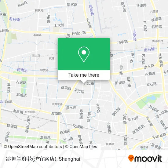 跳舞兰鲜花(沪宜路店) map