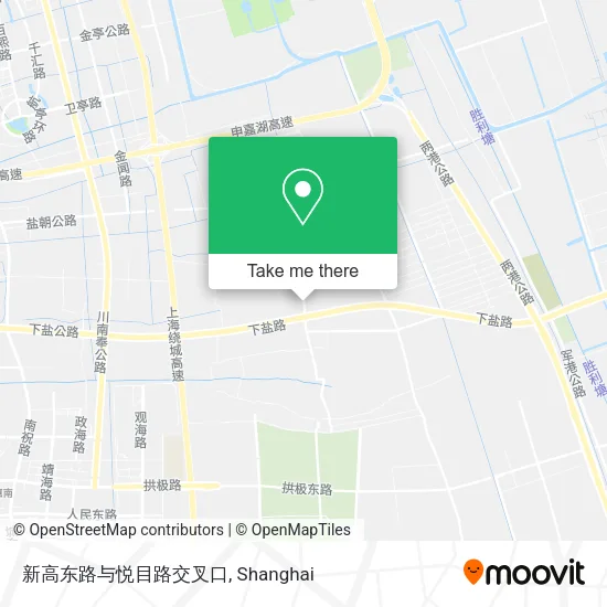 新高东路与悦目路交叉口 map