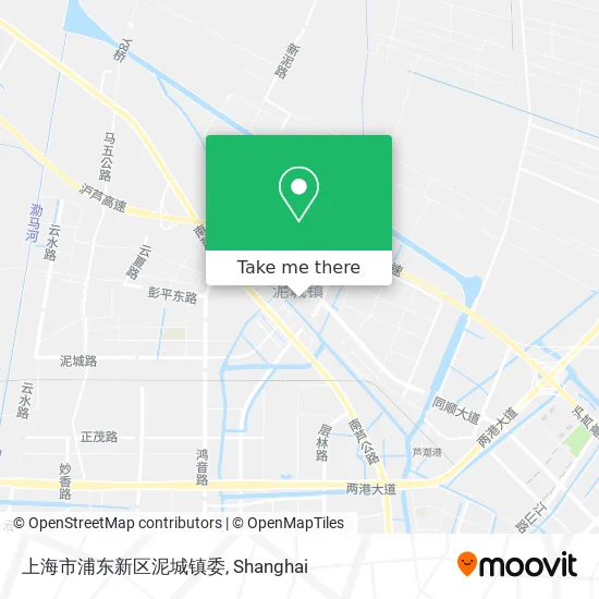 上海市浦东新区泥城镇委 map
