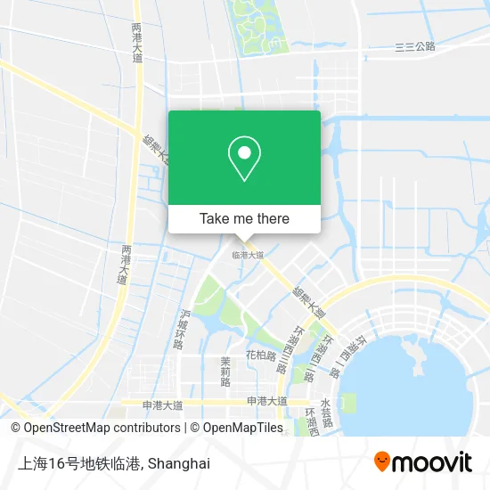 上海16号地铁临港 map