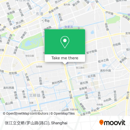 张江立交桥/罗山路(路口) map