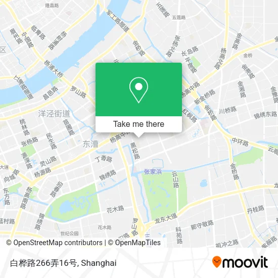 白桦路266弄16号 map