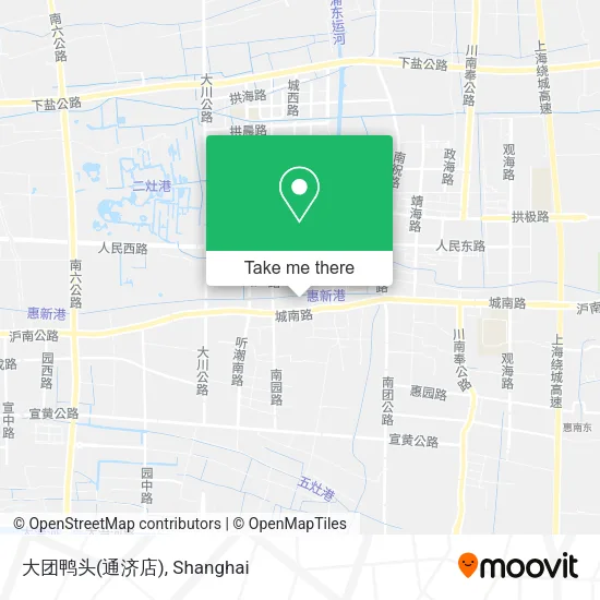 大团鸭头(通济店) map
