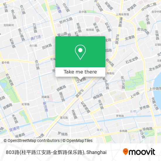 803路(桂平路江安路-金辉路保乐路) map