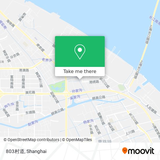 803村道 map