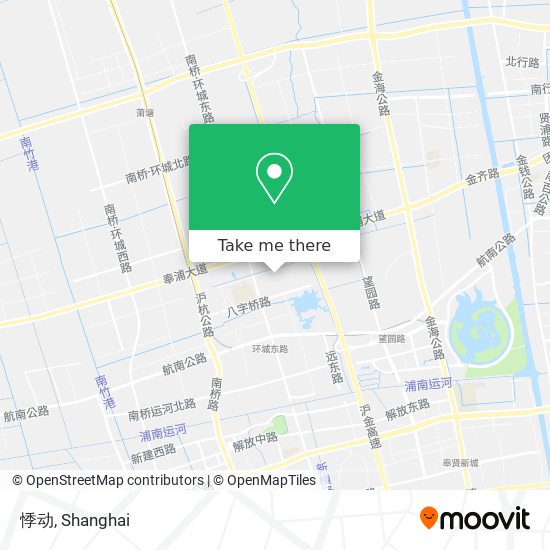 悸动 map