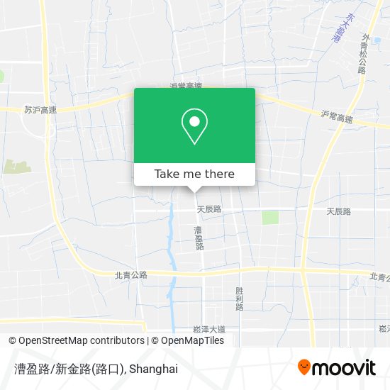 漕盈路/新金路(路口) map