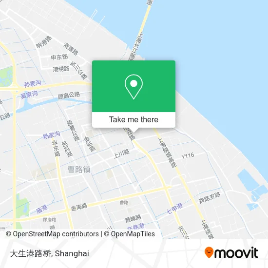 大生港路桥 map