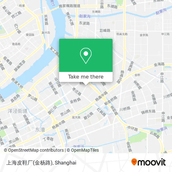 上海皮鞋厂(金杨路) map