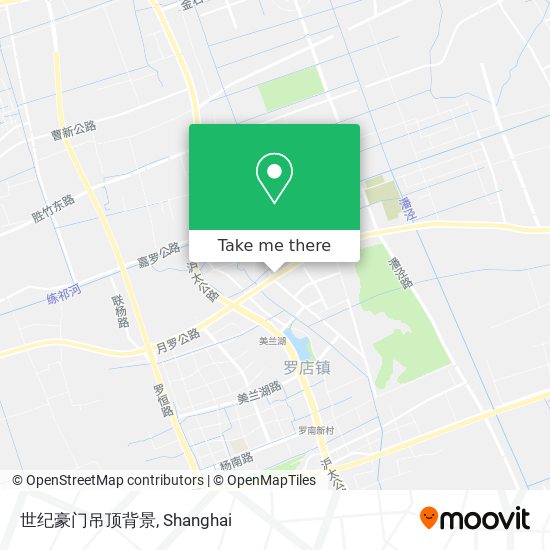 世纪豪门吊顶背景 map
