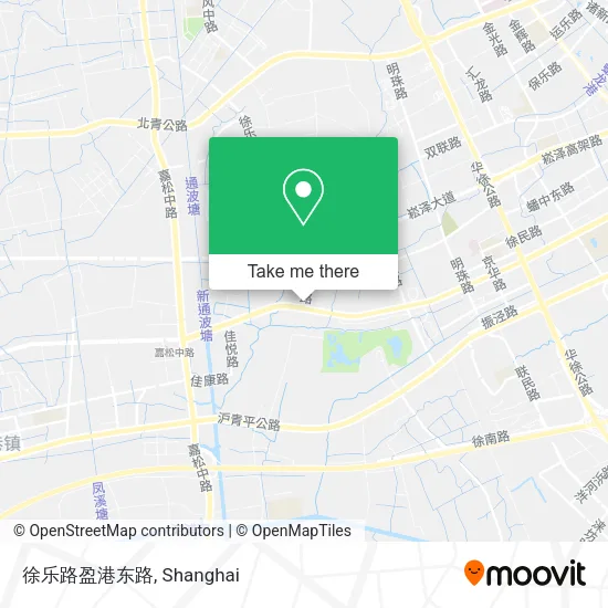 徐乐路盈港东路 map