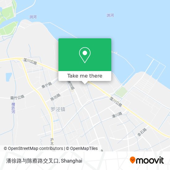 潘徐路与陈蔡路交叉口 map