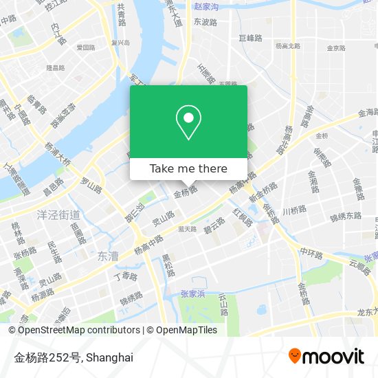 金杨路252号 map