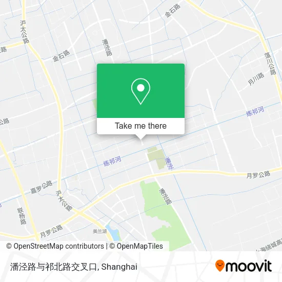 潘泾路与祁北路交叉口 map