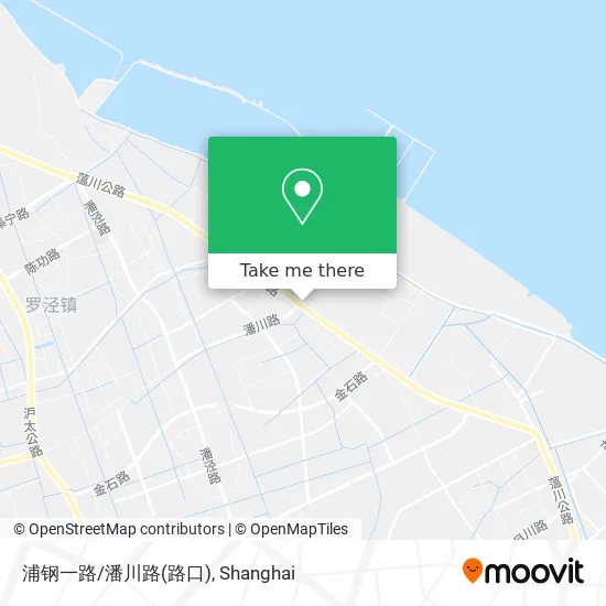 浦钢一路/潘川路(路口) map