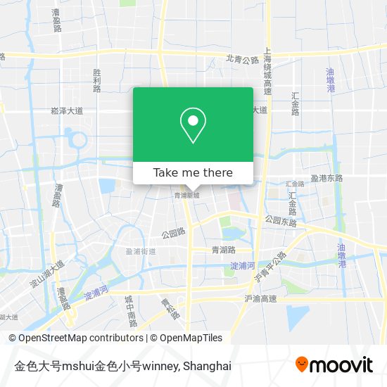 金色大号mshui金色小号winney map