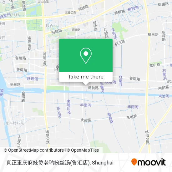 真正重庆麻辣烫老鸭粉丝汤(鲁汇店) map