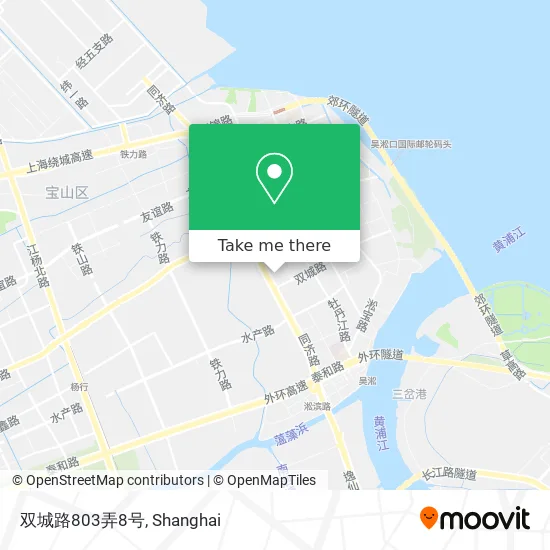 双城路803弄8号 map