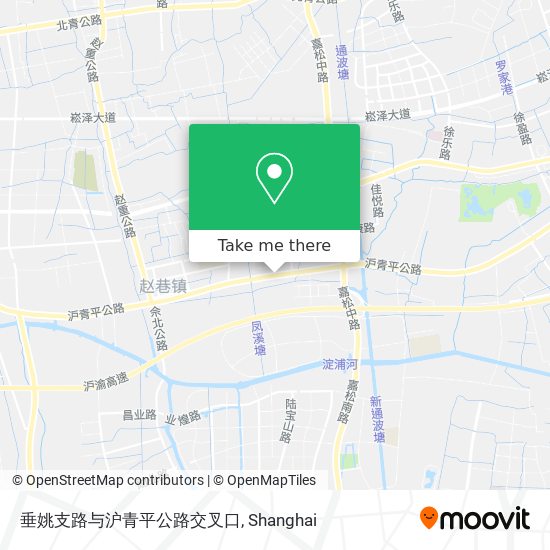 垂姚支路与沪青平公路交叉口 map