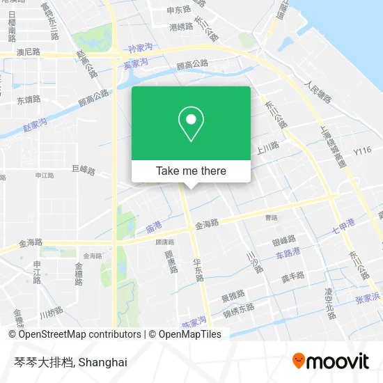 琴琴大排档 map